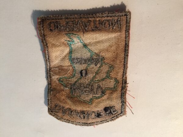 C Troop 16th Cavalry Rgt DARKHORSE OPERATION MR IV CAN THO Vietnam - Image 2