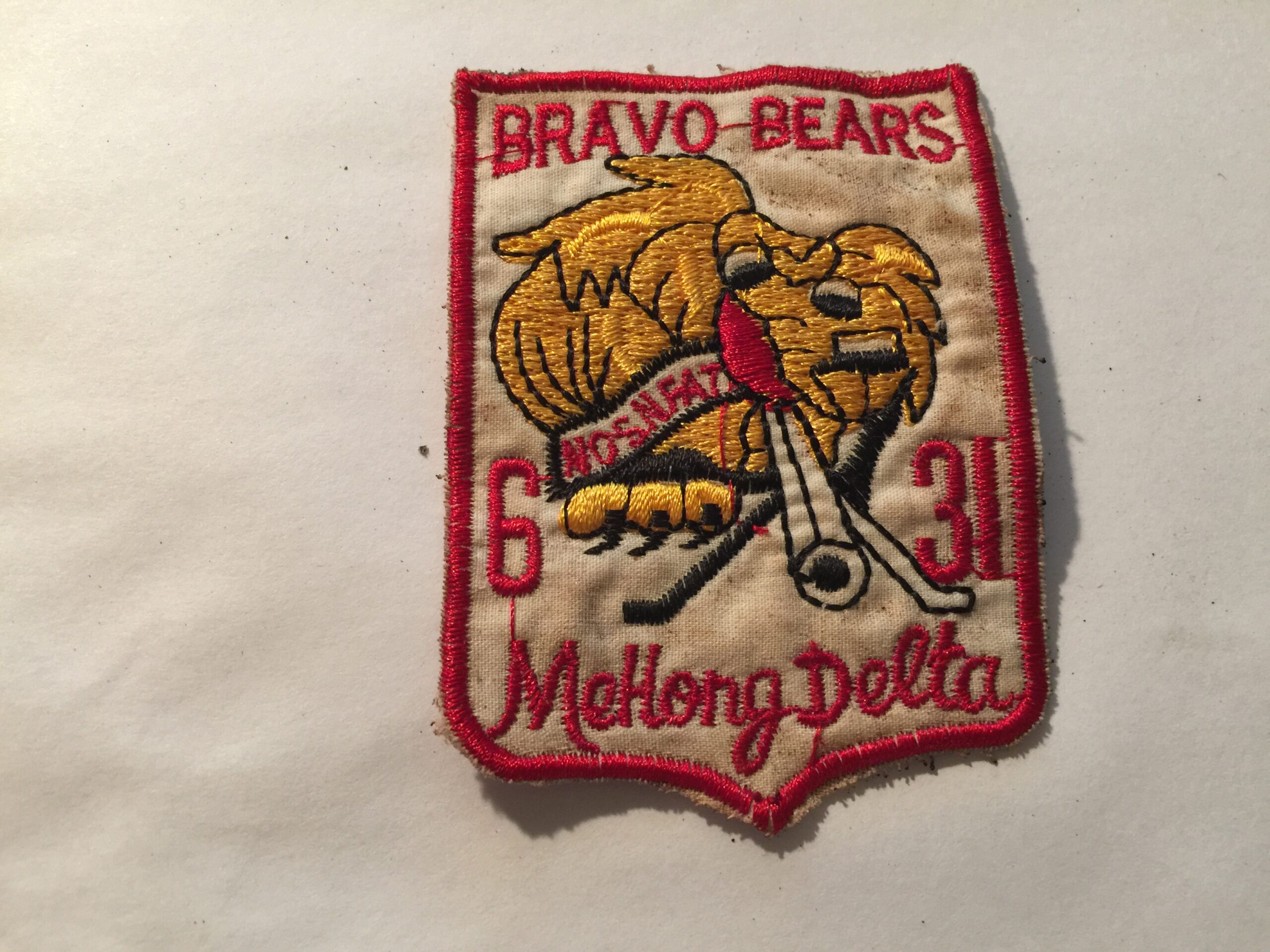 BRAVO BEARS, Mekong Delta, 6th/31st - 9th INFANTRY Vietnam War