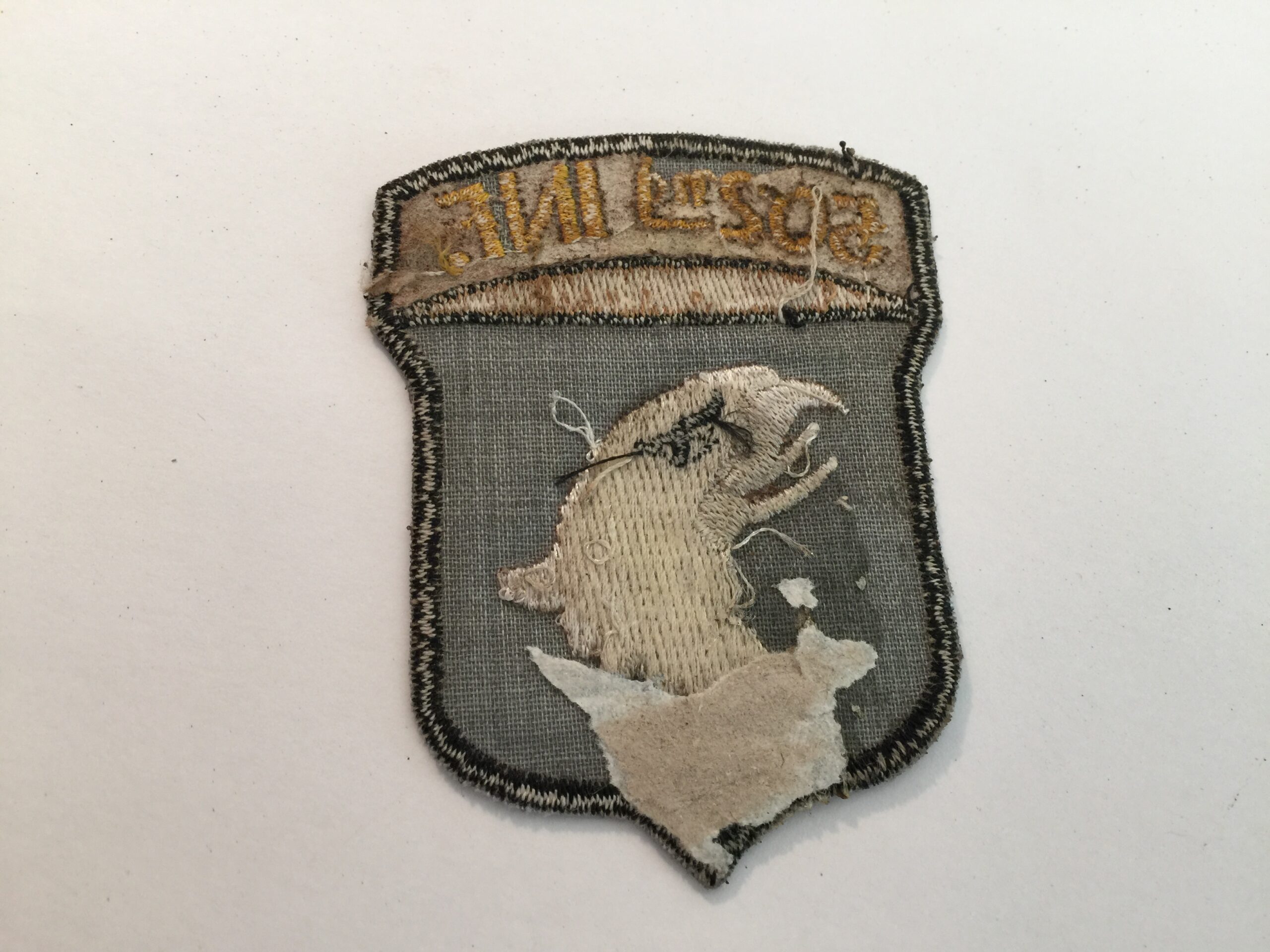 PARATROOPER 101st AIRBORNE DIVISION - 502nd PARA INF Vietnam War