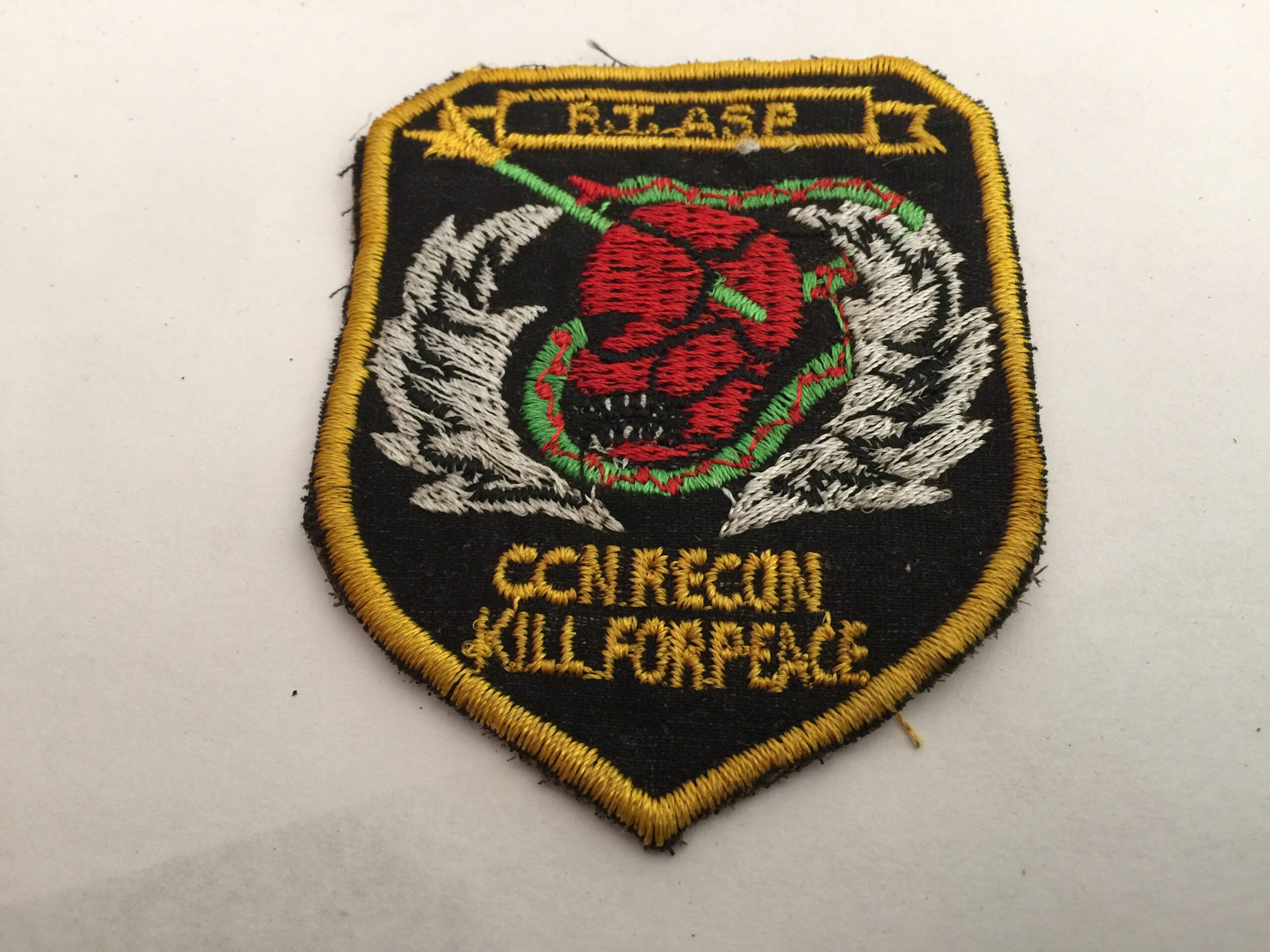 US Special Forces -RECON TEAM ASP "Kill For Peace" Vietnam War