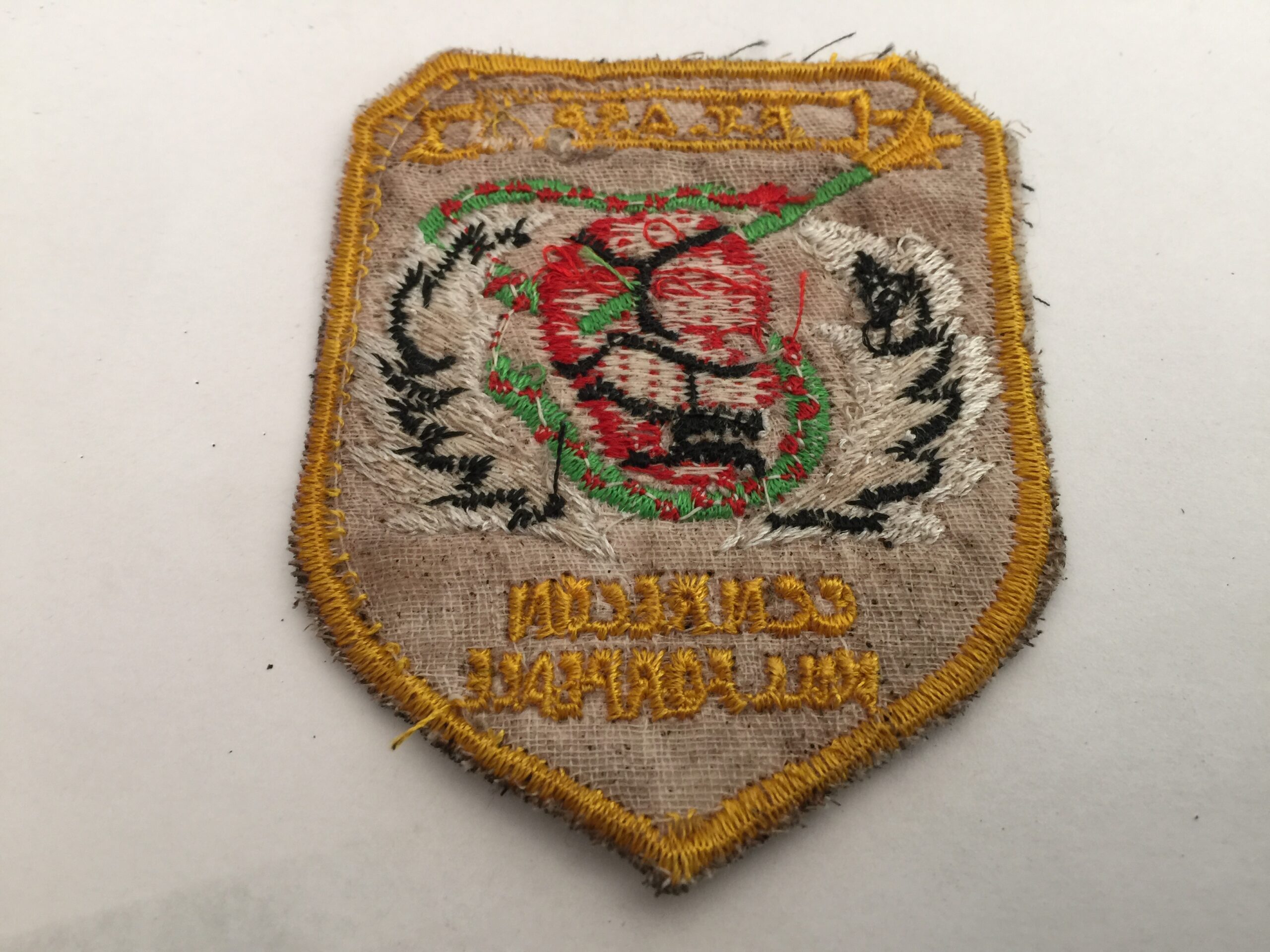 US Special Forces -RECON TEAM ASP  "Kill For Peace"  Vietnam War - Image 2