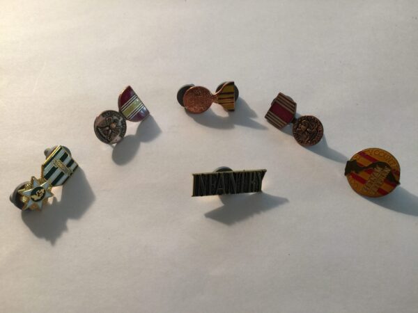 Vietnam War Veteran Lapel Pin Lot