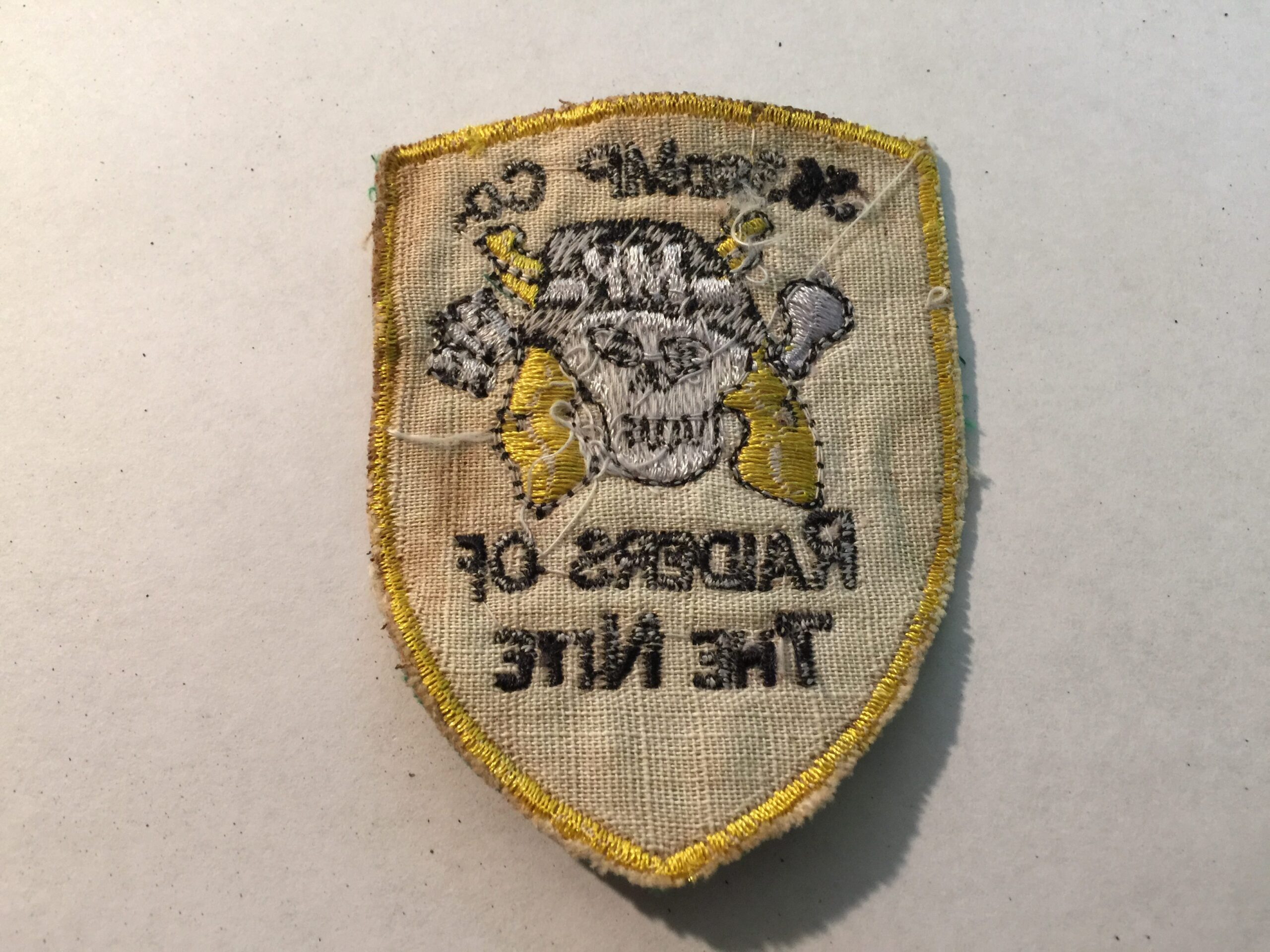 363rd MILITARY POLICE CO - RAIDERS OF THE NITE VIETNAM WAR - Image 2