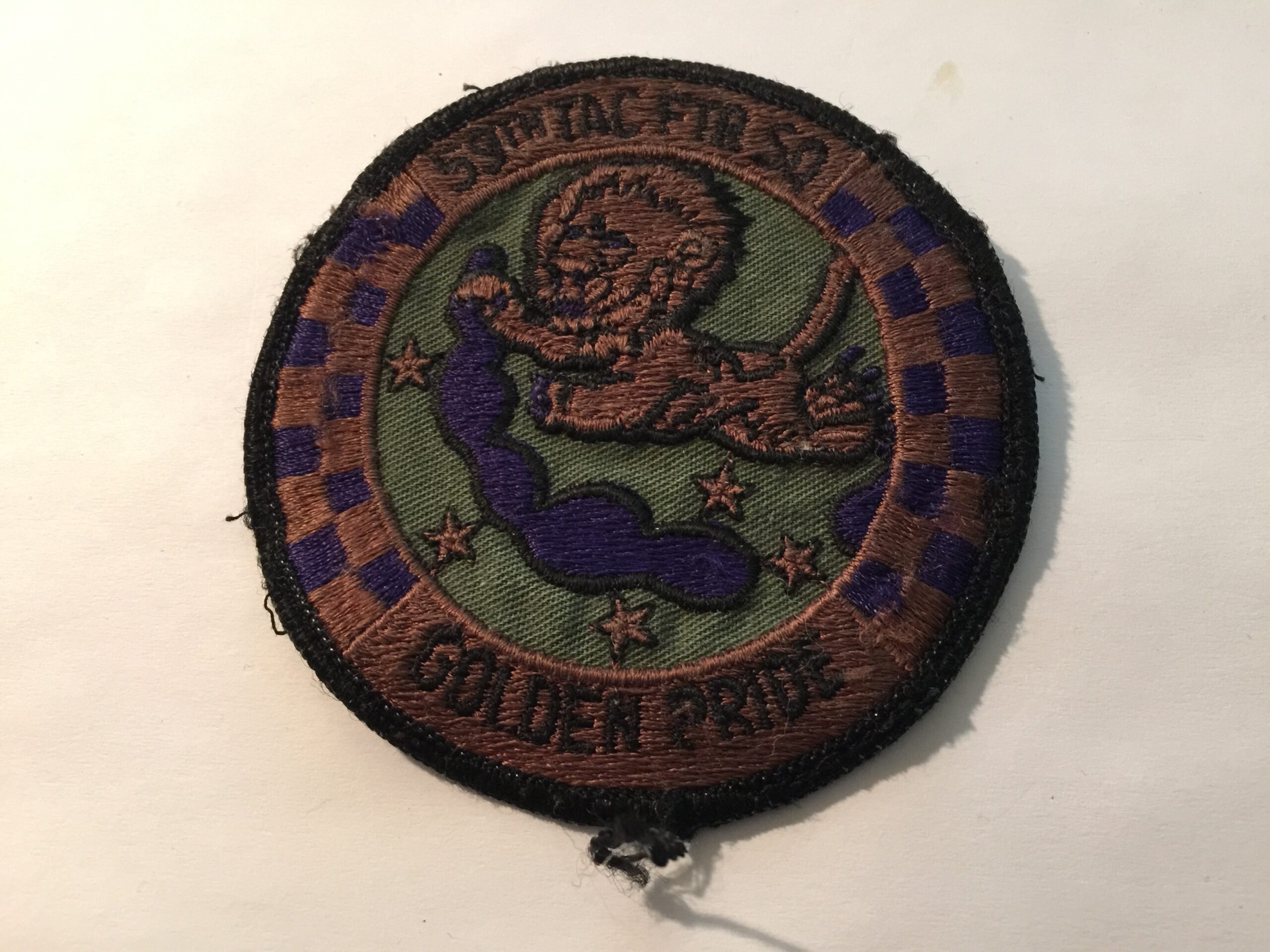 USAF 59th Tactical Fighter Squadron "Golden Pride"