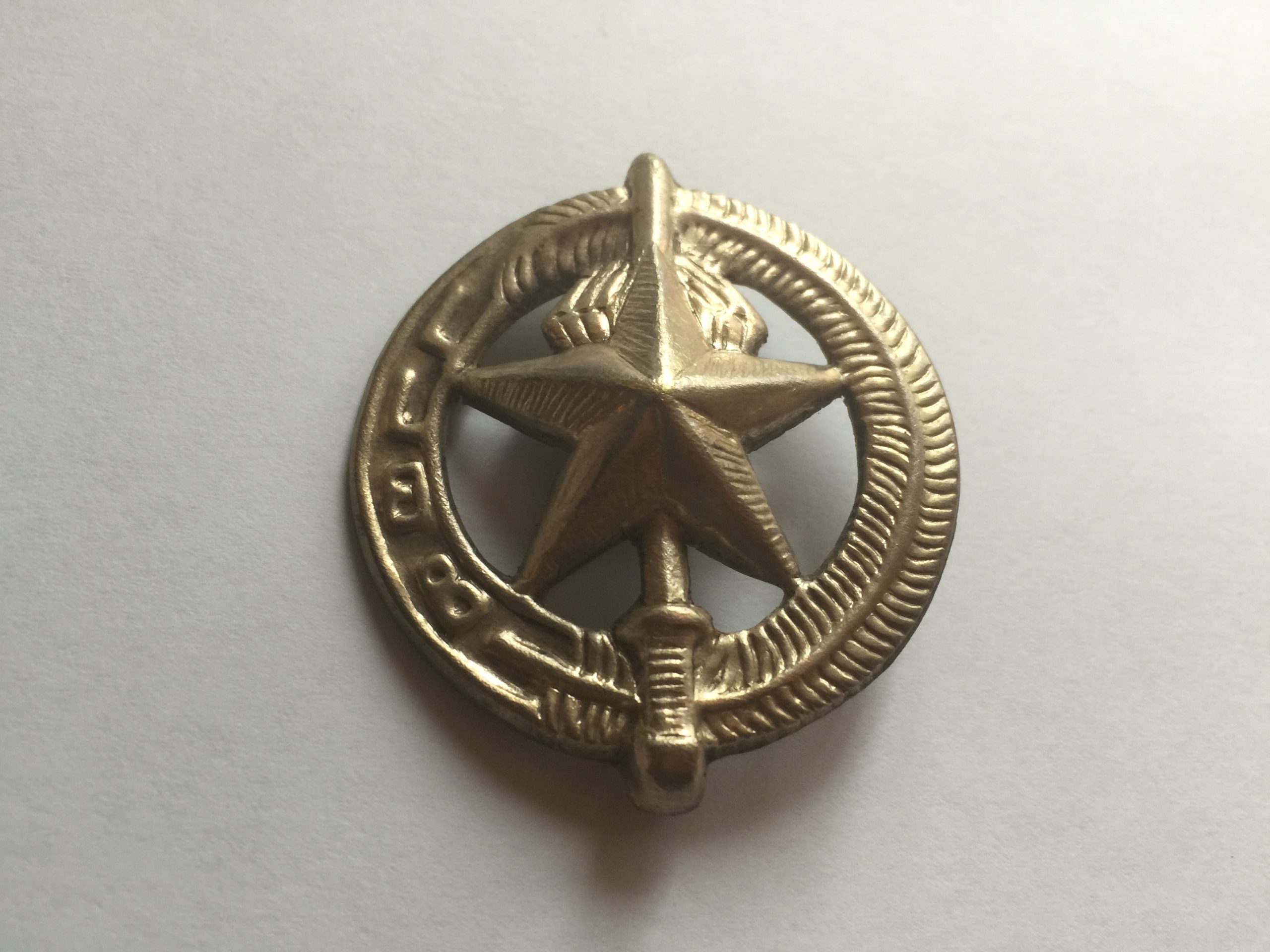 ARVN Special Forces Beret Badge LUC LUONG DAC BIET LLDB Vietnam War