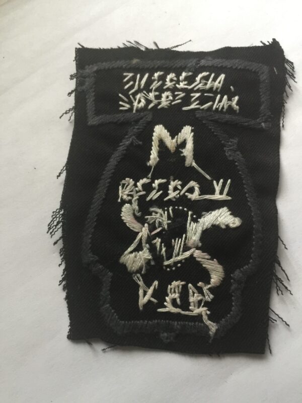 MIKE FORCE AIRBORNE RECON 3RD BN - II CORPS RARE PATCH - Image 2